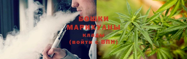 бошки Бронницы