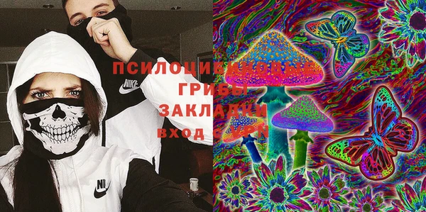 стафф Сатка
