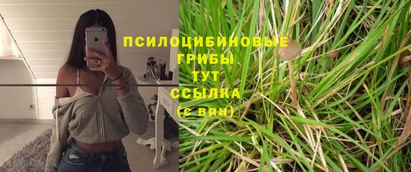 тгк Бугульма