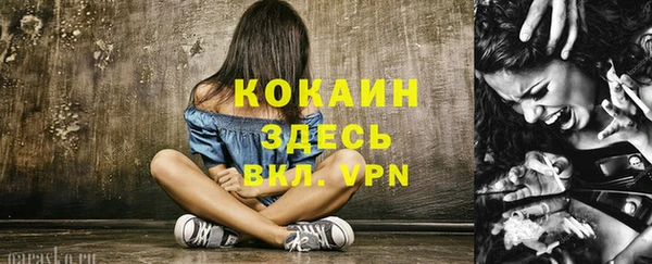бошки Бронницы