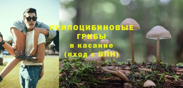 тгк Бугульма