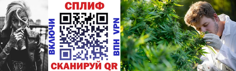МАРИХУАНА тримм  Сургут 